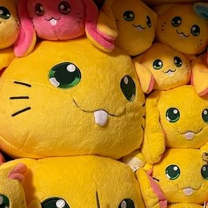 Meet your Posher, Cody